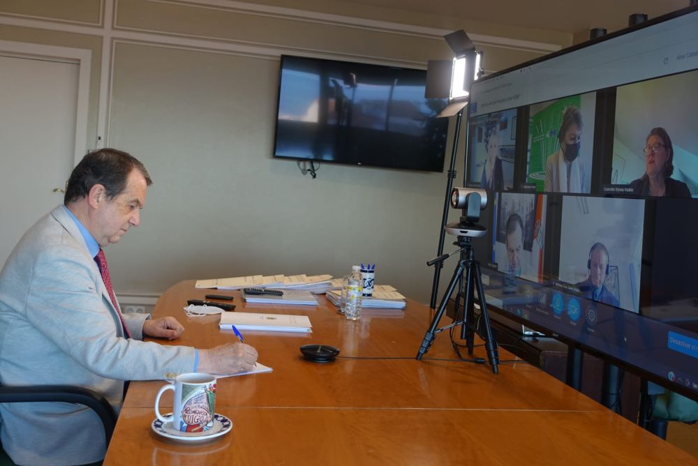 Abel Caballero durante a videoconferencia co Consello de Europa