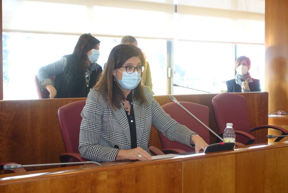 María Xosé Caride durante a súa intervención no Pleno