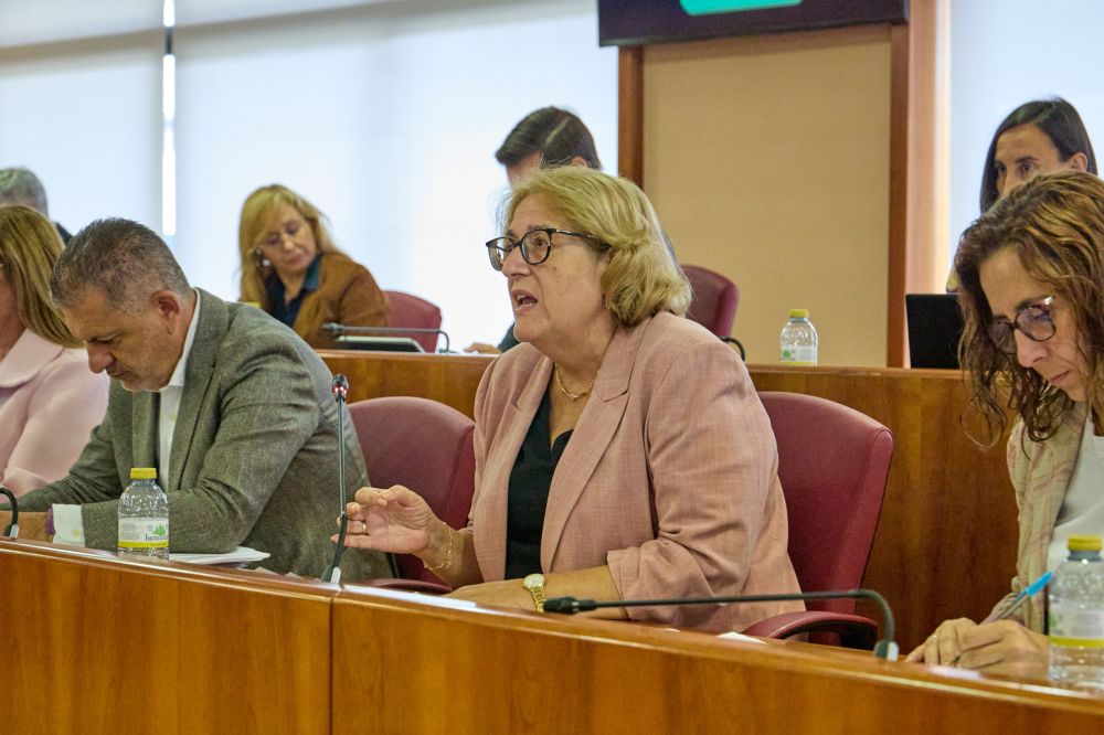 Olga Alonso no momento da súa intervención