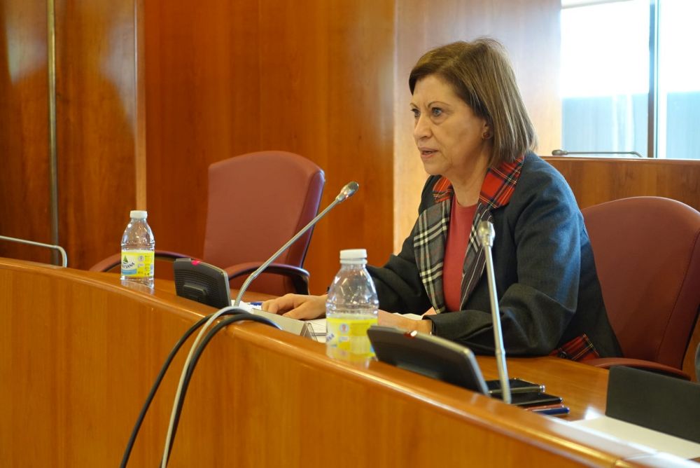 Elena Espinosa no Pleno da Corporación Municipal